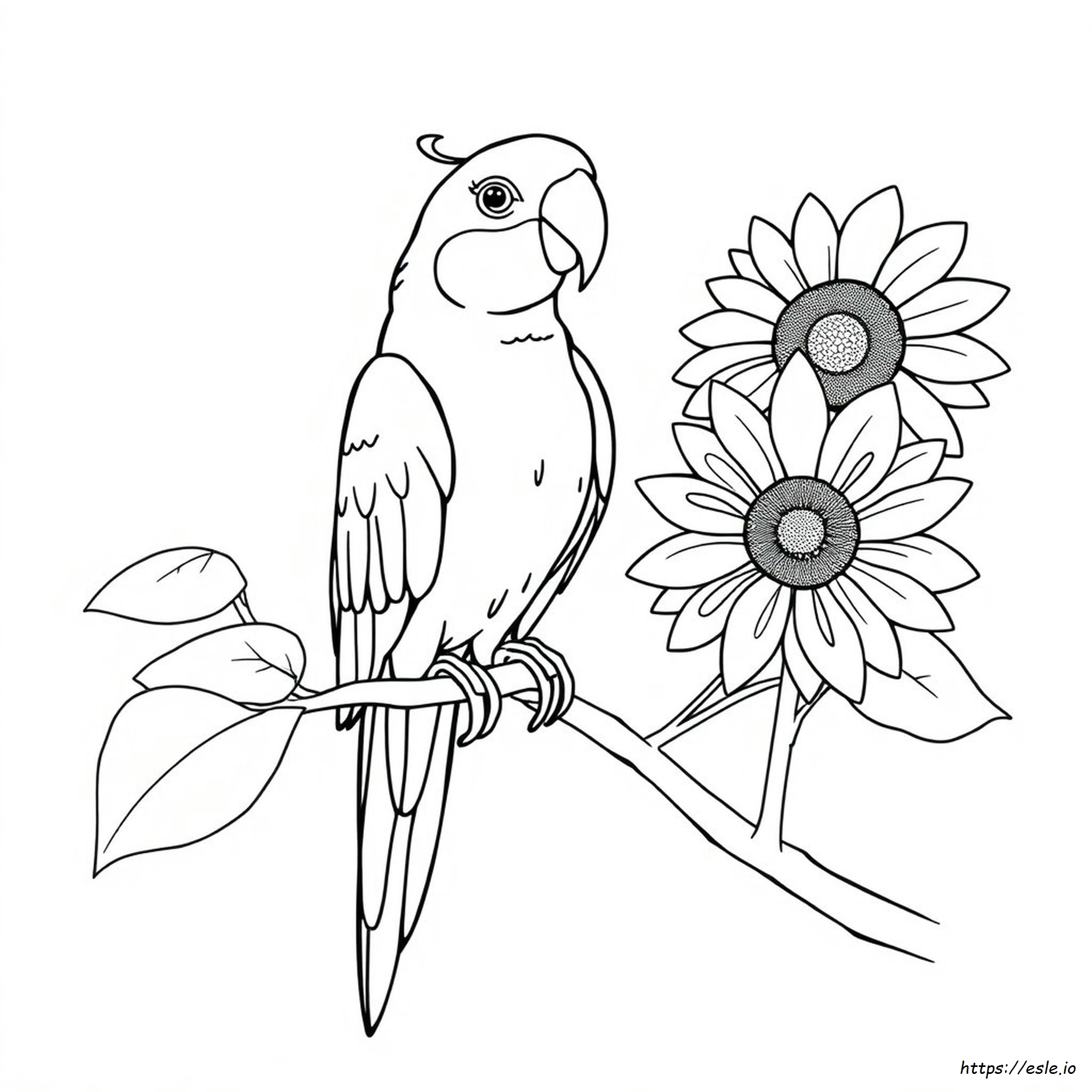 Arara Para Colorir - Grátis para Imprimir