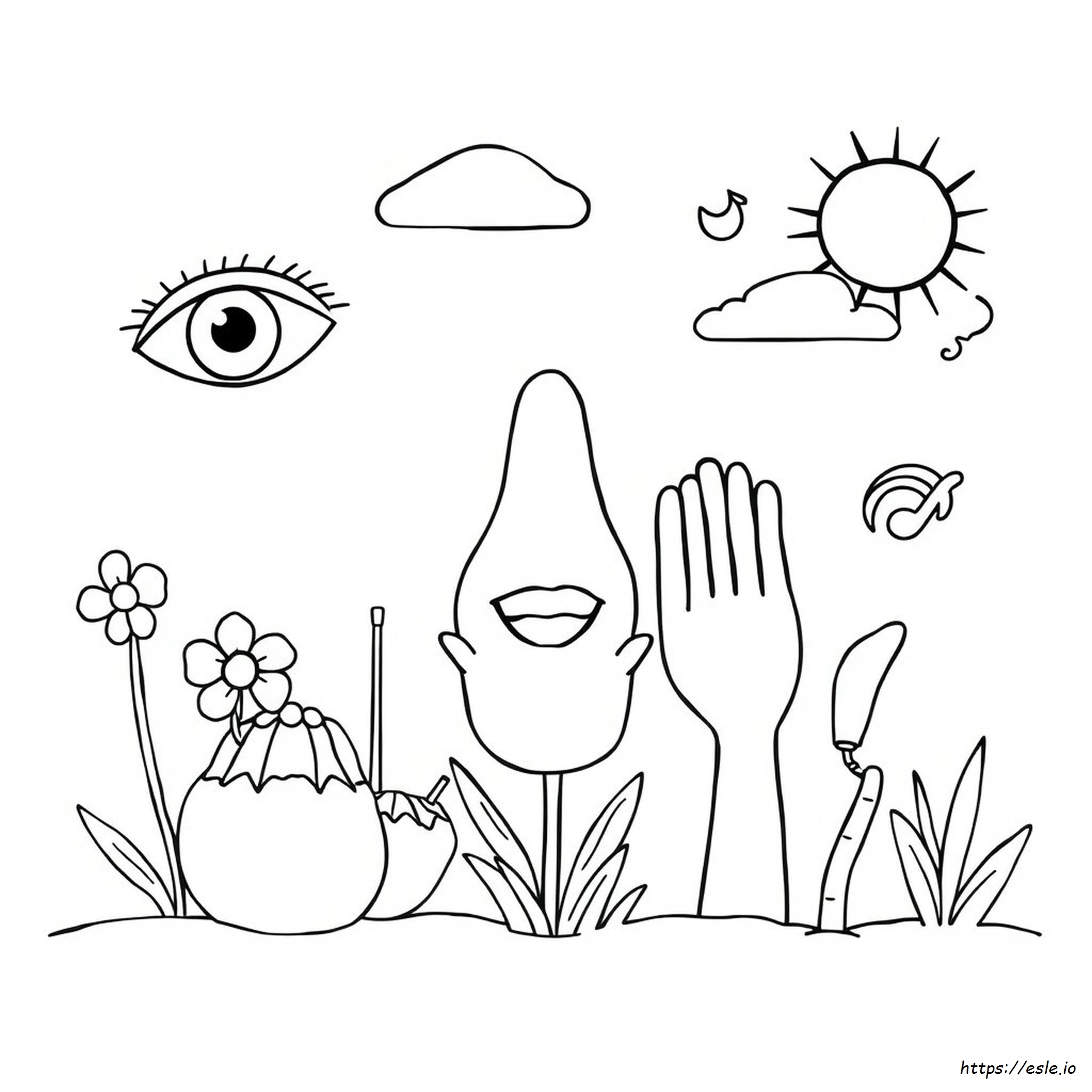 Printable Five Senses Coloring Pages For Preschool
