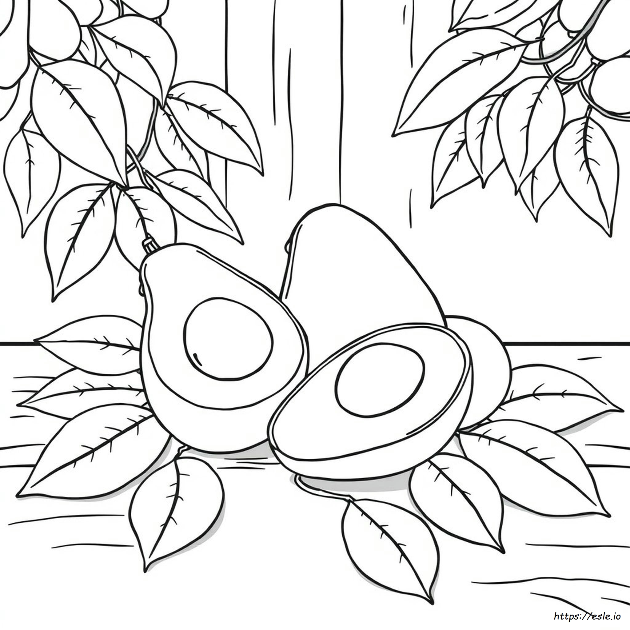 Coloring Picture Of Avocado