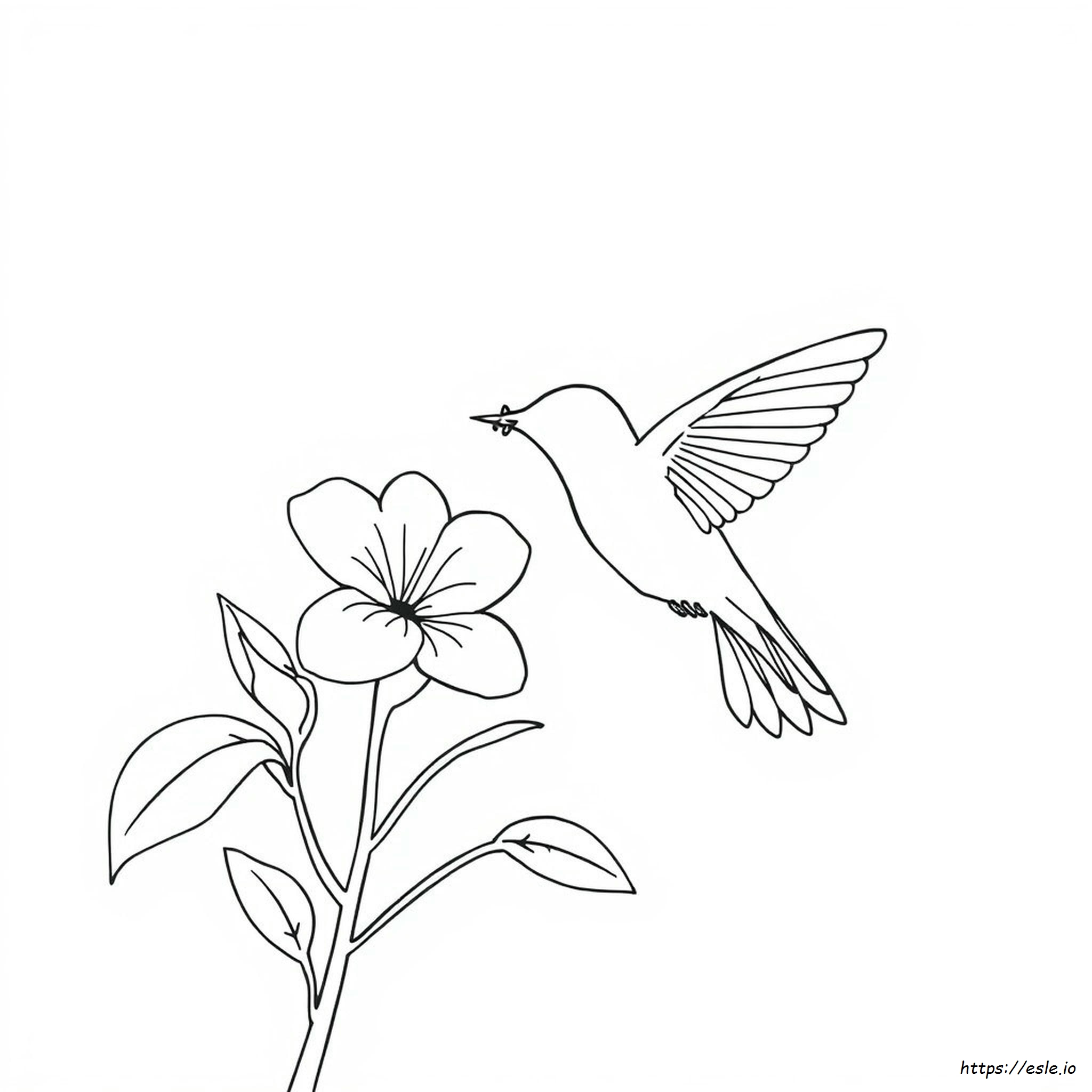 Free Printable Hummingbird Coloring Pages For Adults