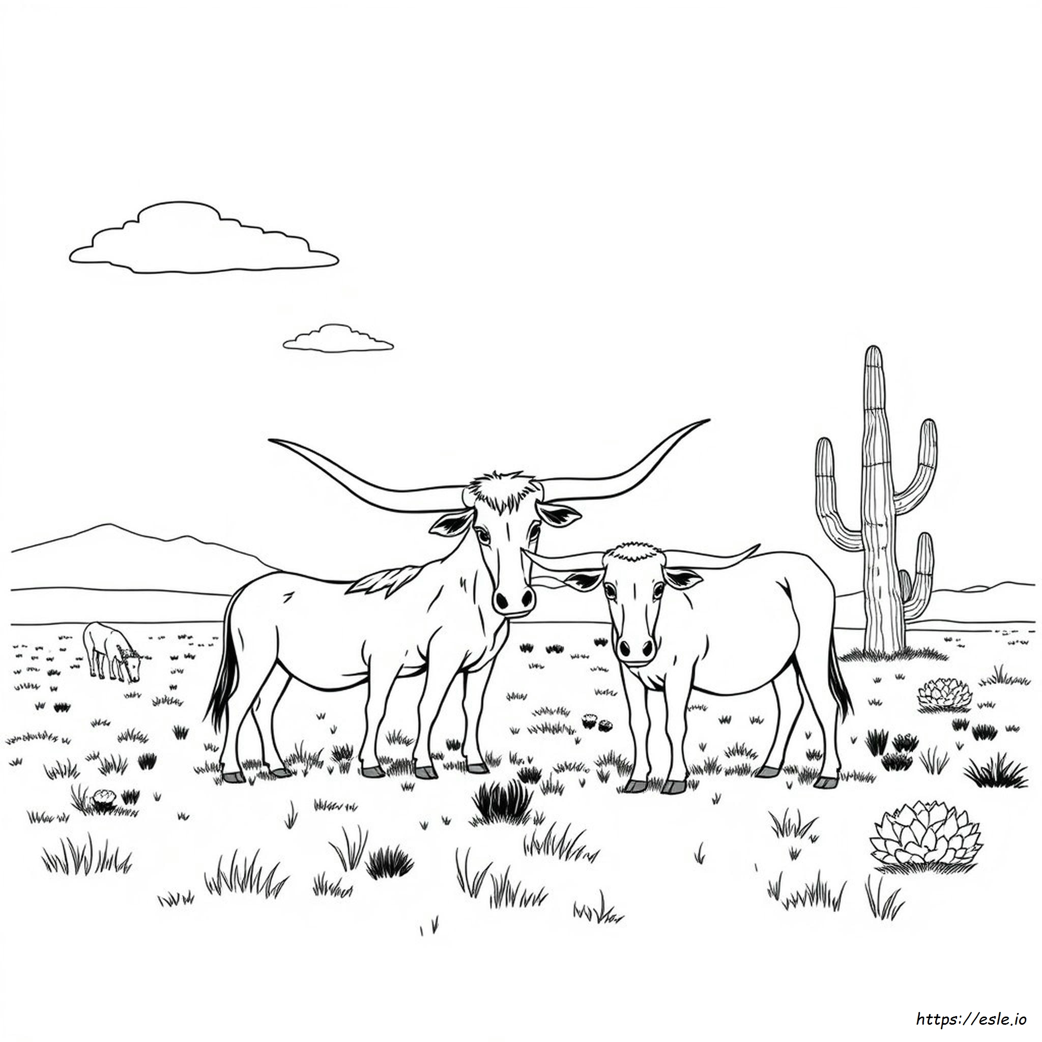 Texas Longhorns Coloring Pages - Free Printable