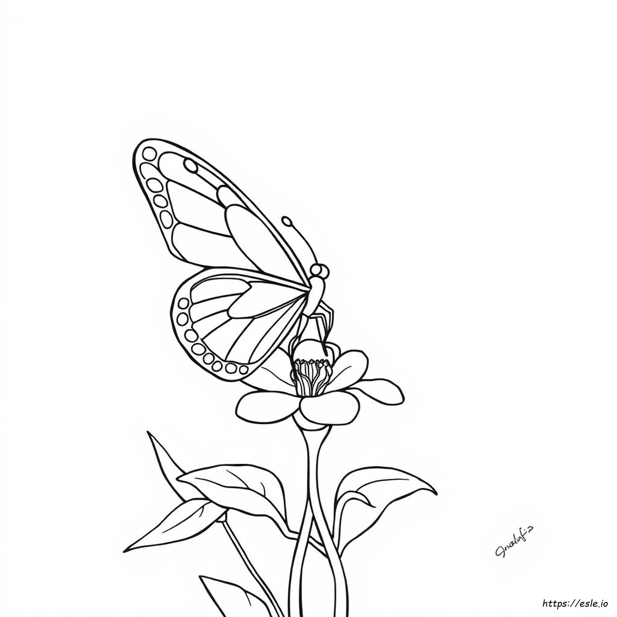 Mariposas Para Imprimir Y Colorear