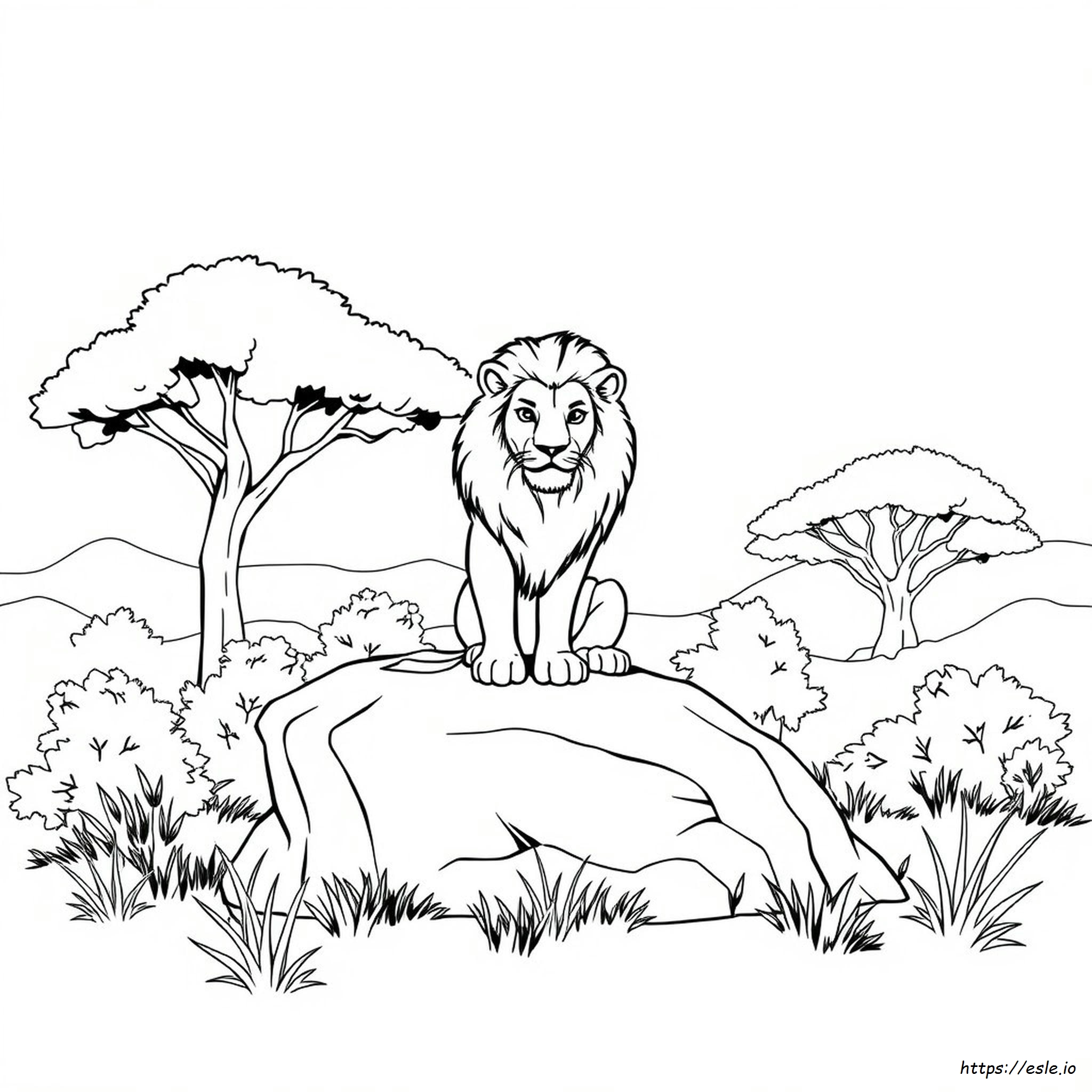 Animal Coloring Pages For Men