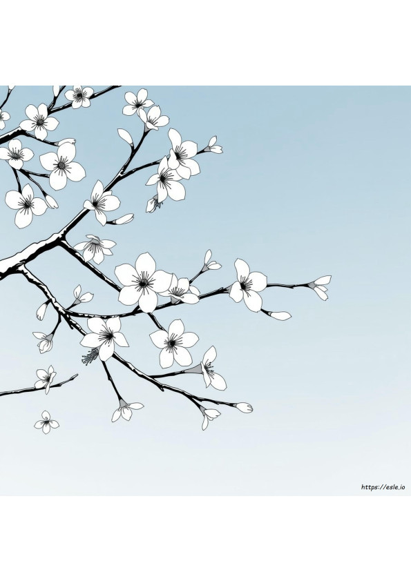印刷できる日本の桜の塗り絵