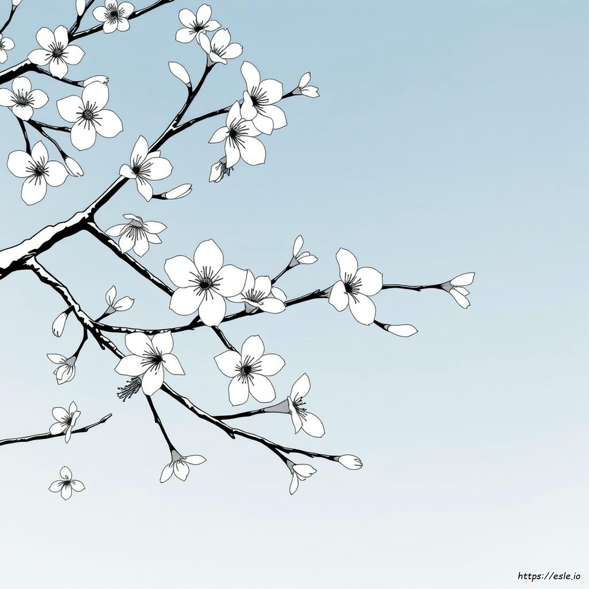 Printable Japanese Cherry Cherry Blossom Coloring Page