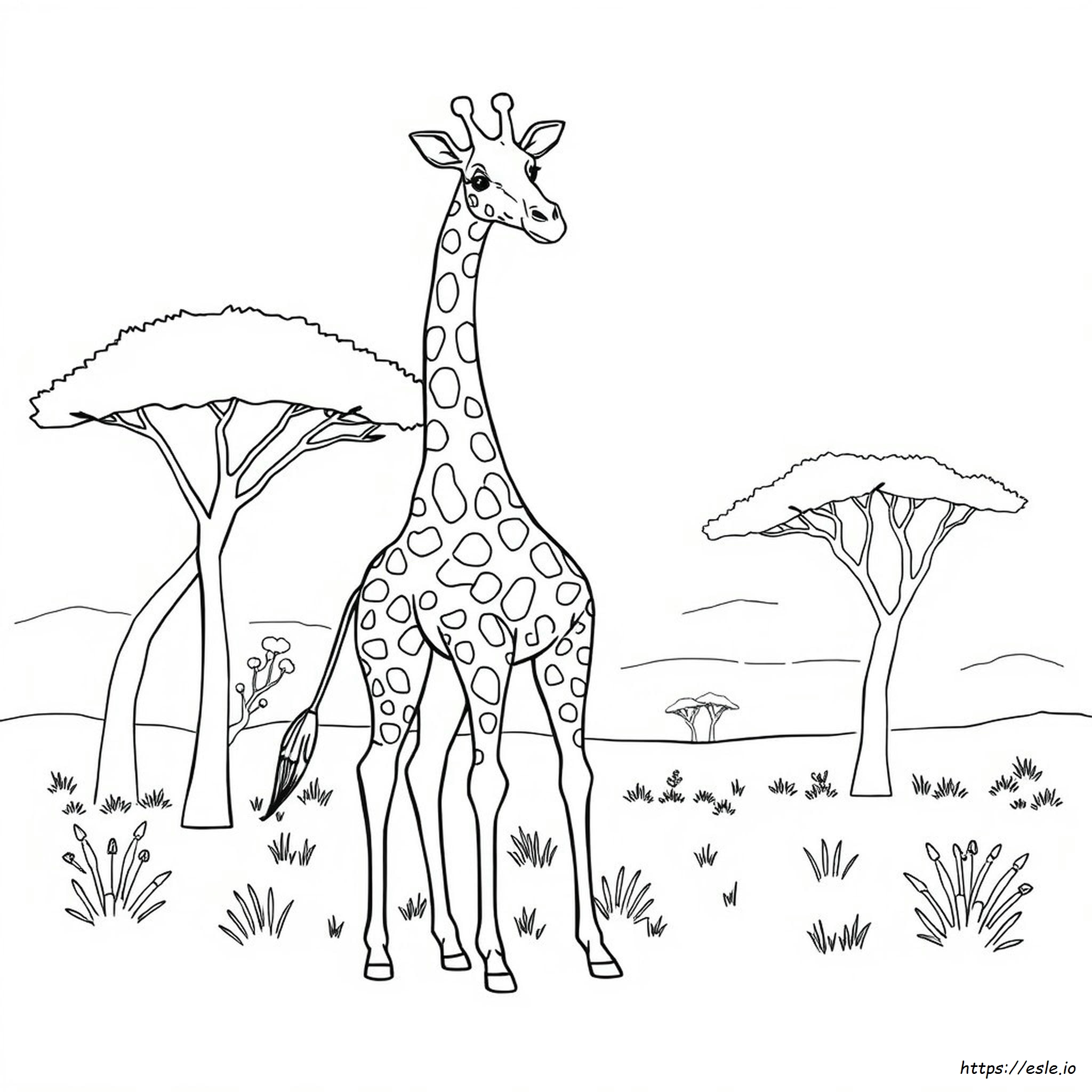 Giraffe Coloring Picture - Free Printable