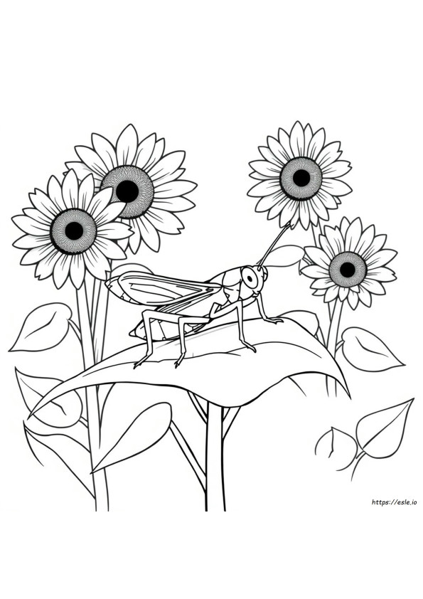 Grilo Para Colorir