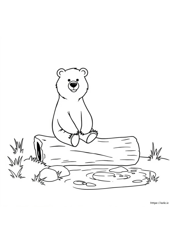 Coloriage Ours Contour