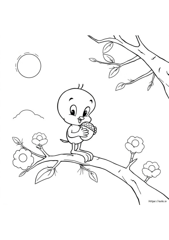 Tweety Bird Coloring Pages To Print For Free