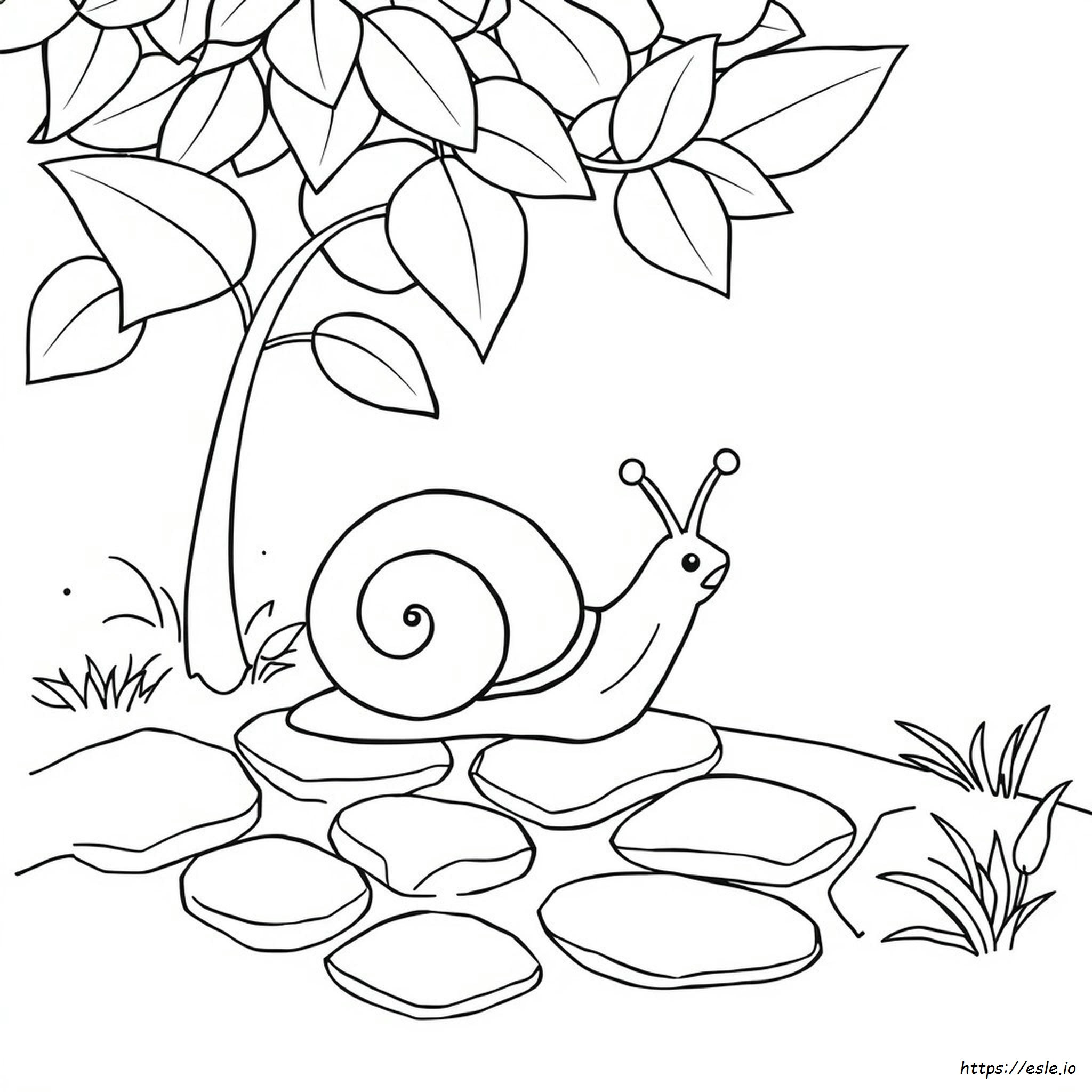 Coloring Page Of A Snail - Free Printable