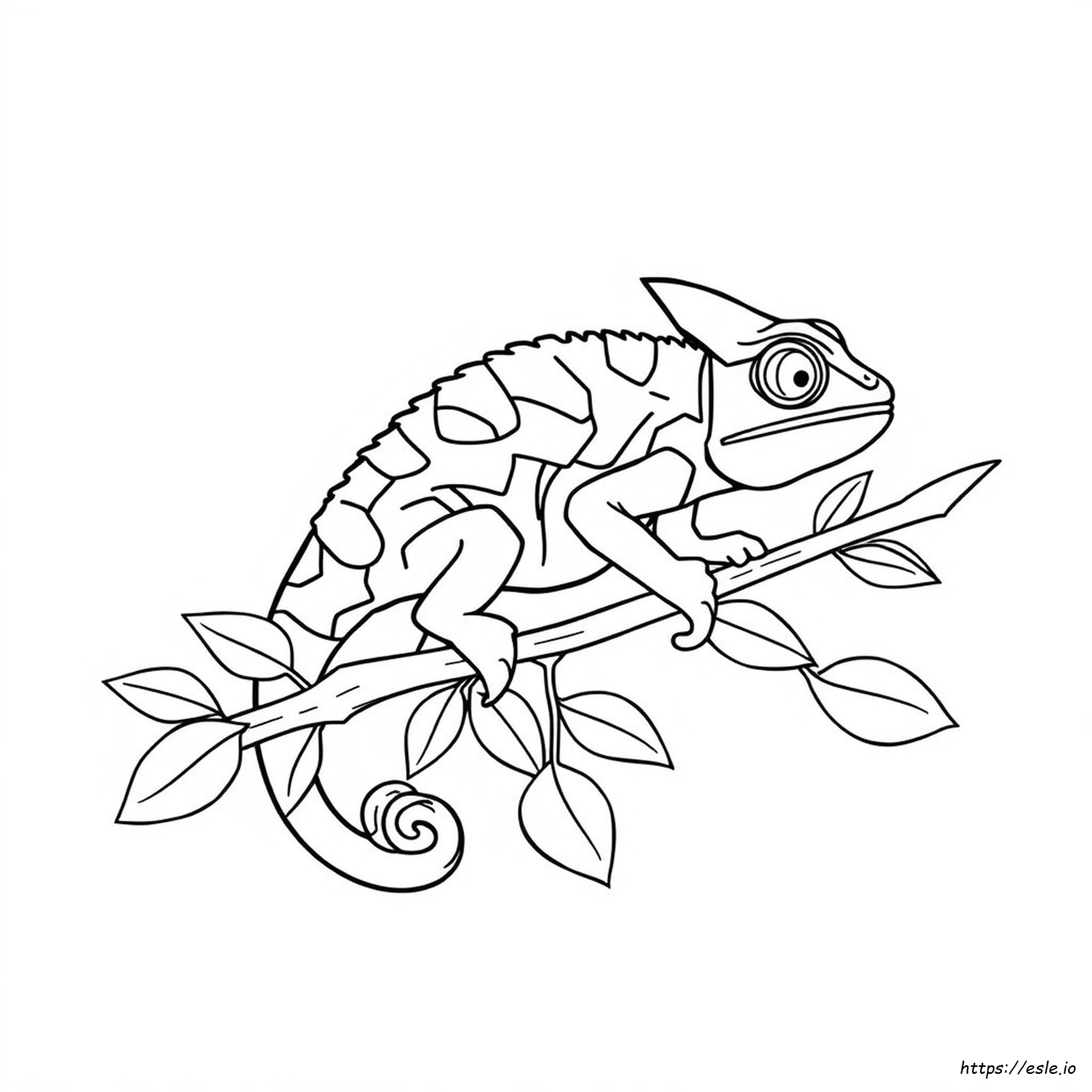 Color Changing Chameleon Coloring Page