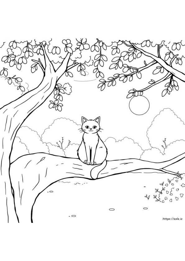 Katze Ausmalbilder Kostenlos Online