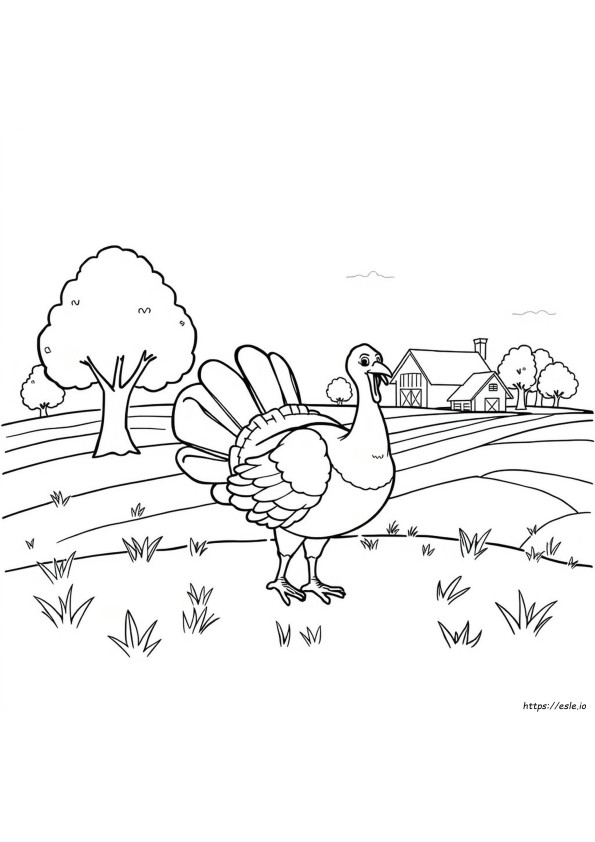 Simple Turkey Coloring Page