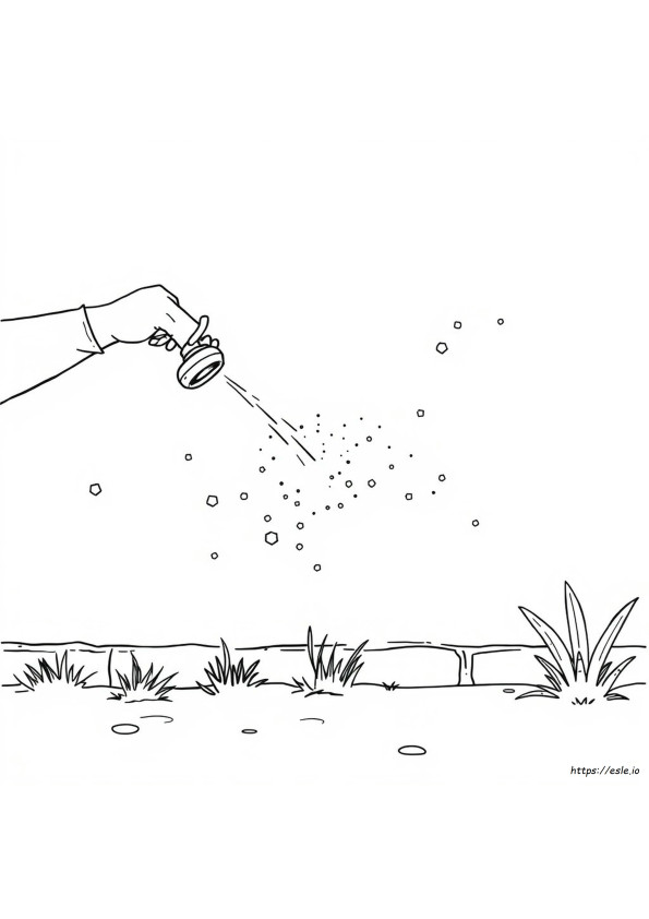 Desenhos De Grafite Para Colorir