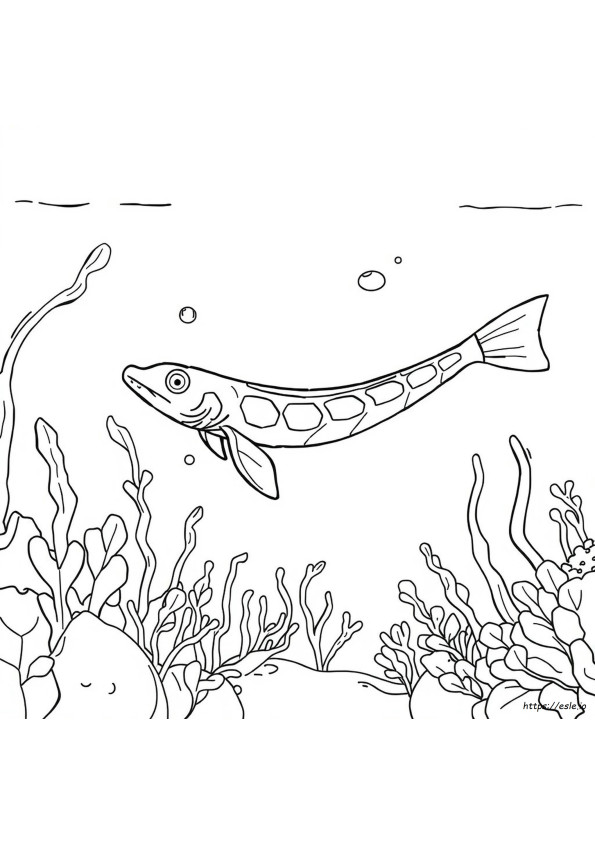 Eel Coloring Page