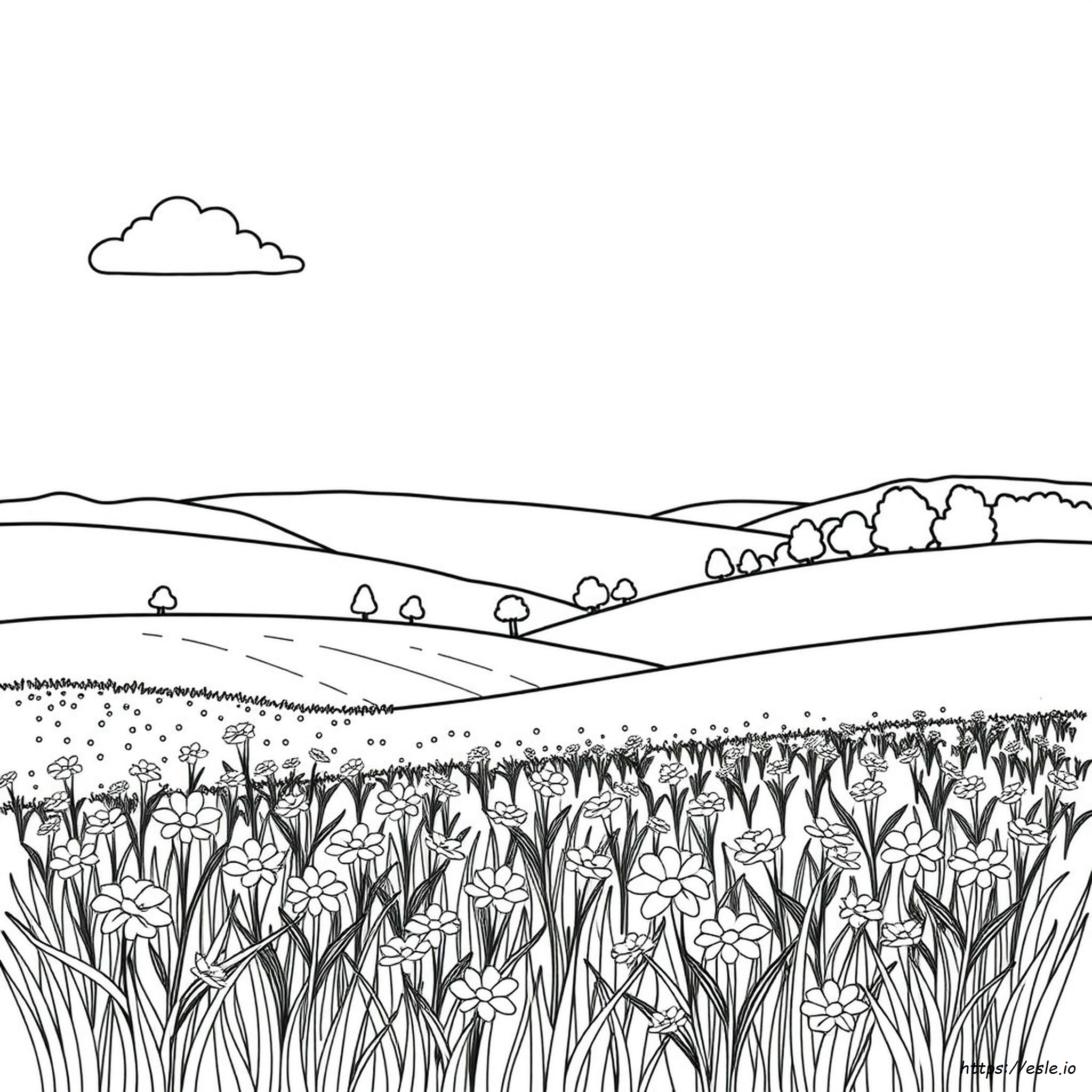 Paisajes Para Colorear