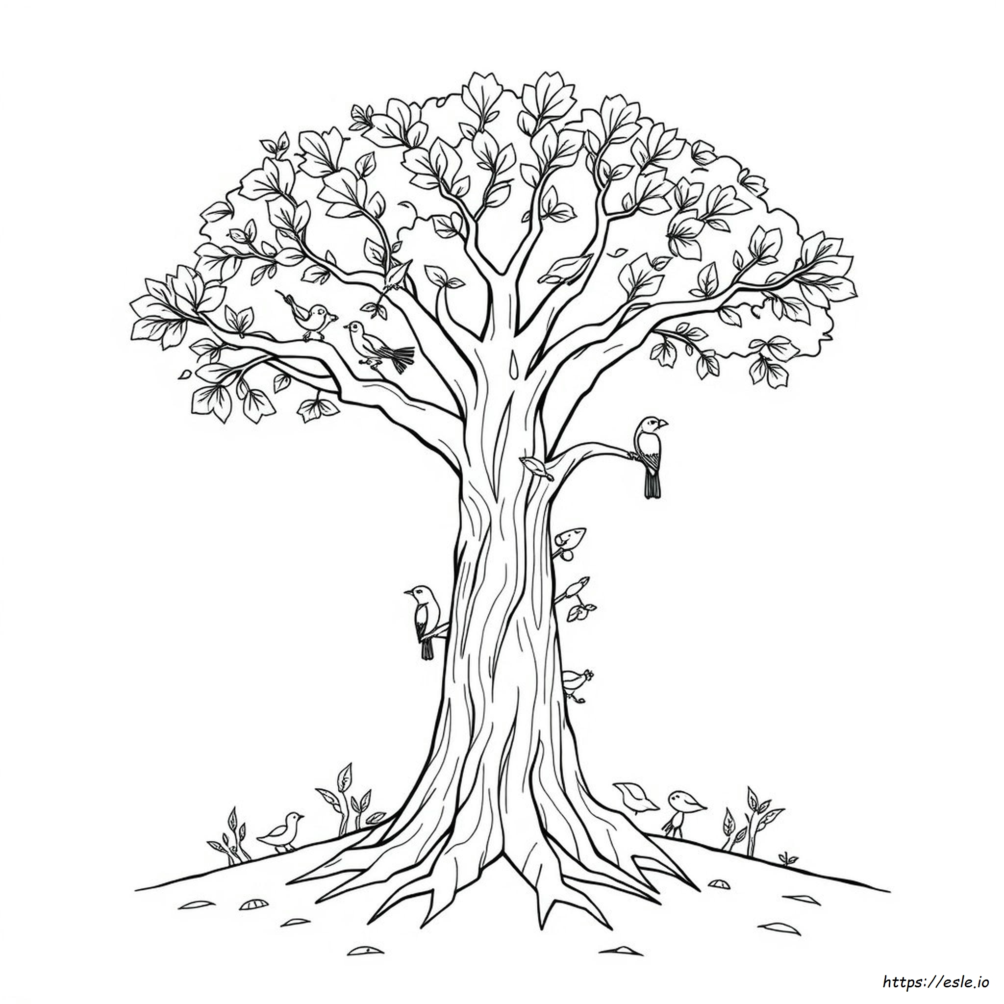Der Große Kapokbaum Ausmalbilder