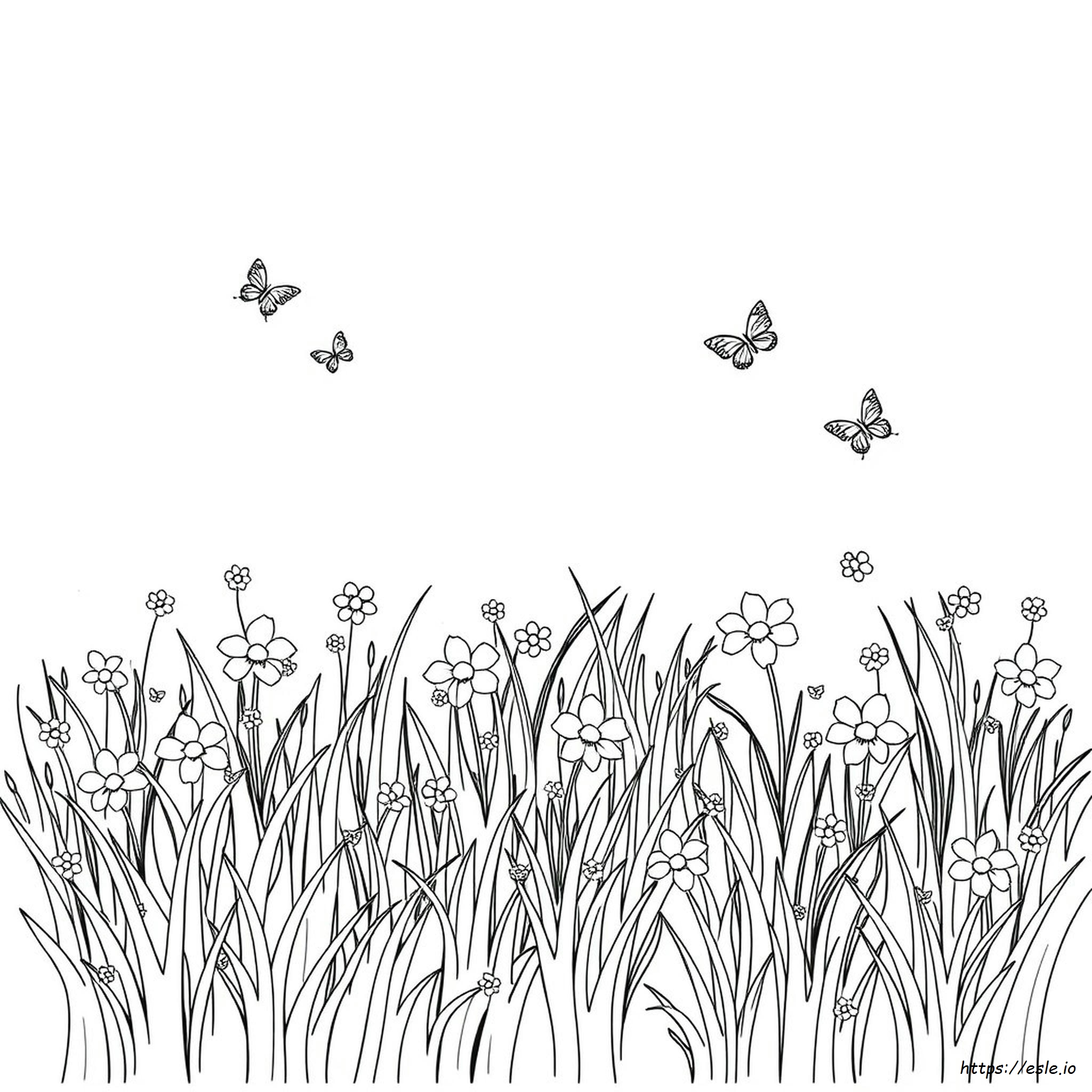 Grass Field Coloring Page
