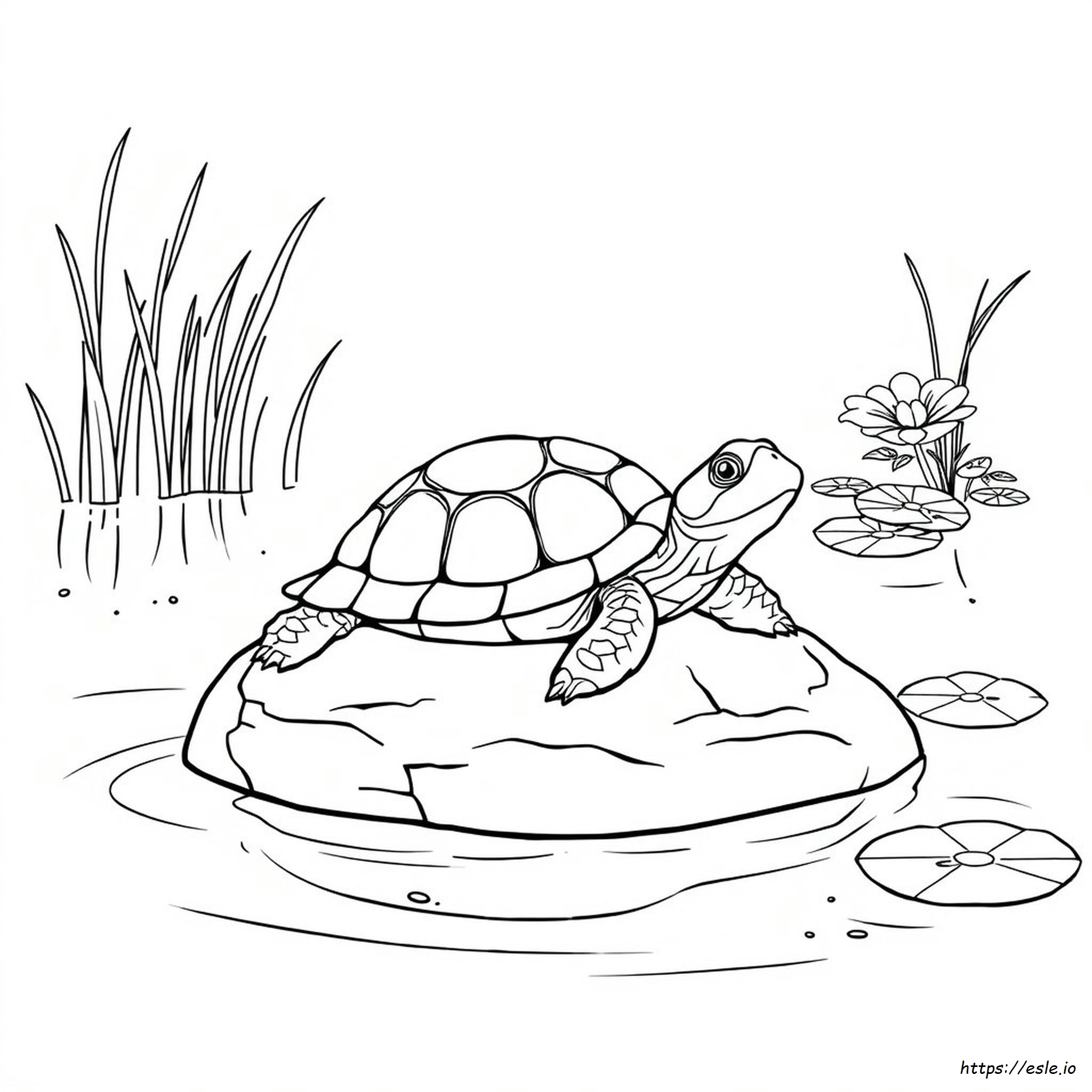 Adult Turtle Coloring Pages