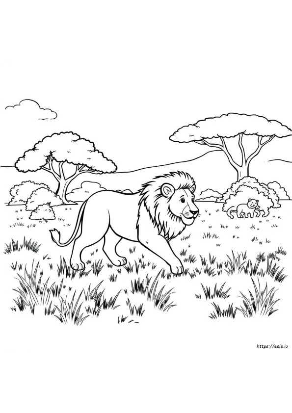 Animal Coloring Pages Medium