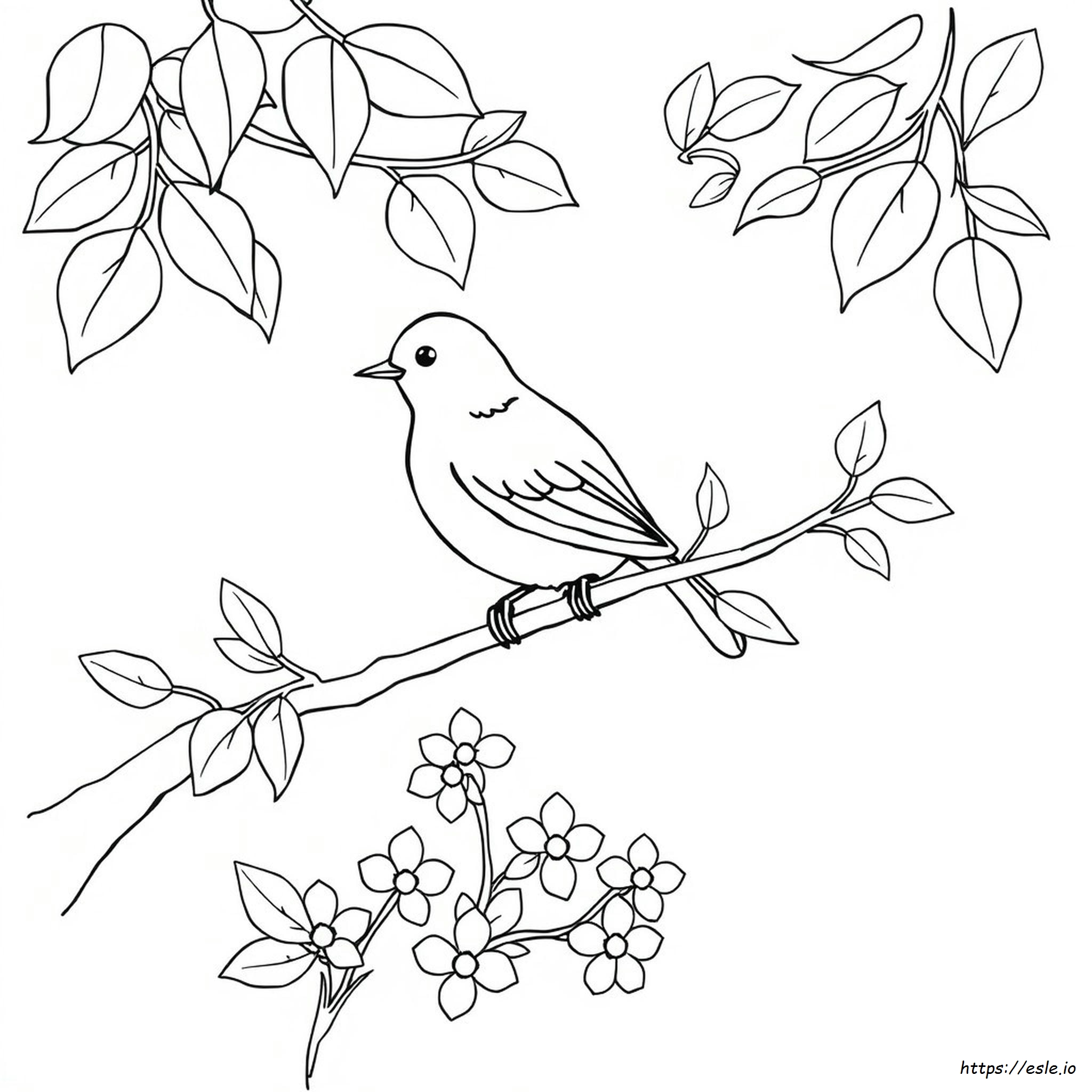 Blue Bird Coloring Page
