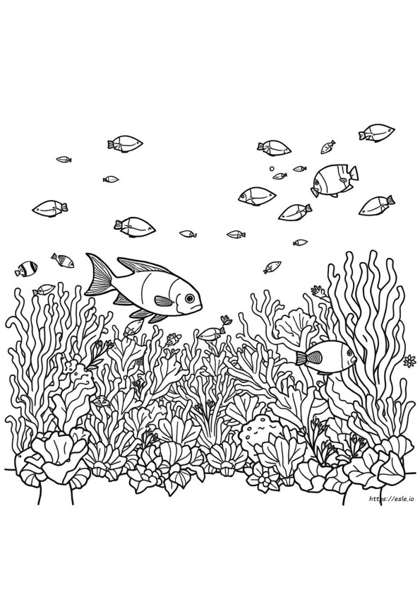 Great Barrier Reef Fish Coloring Page
