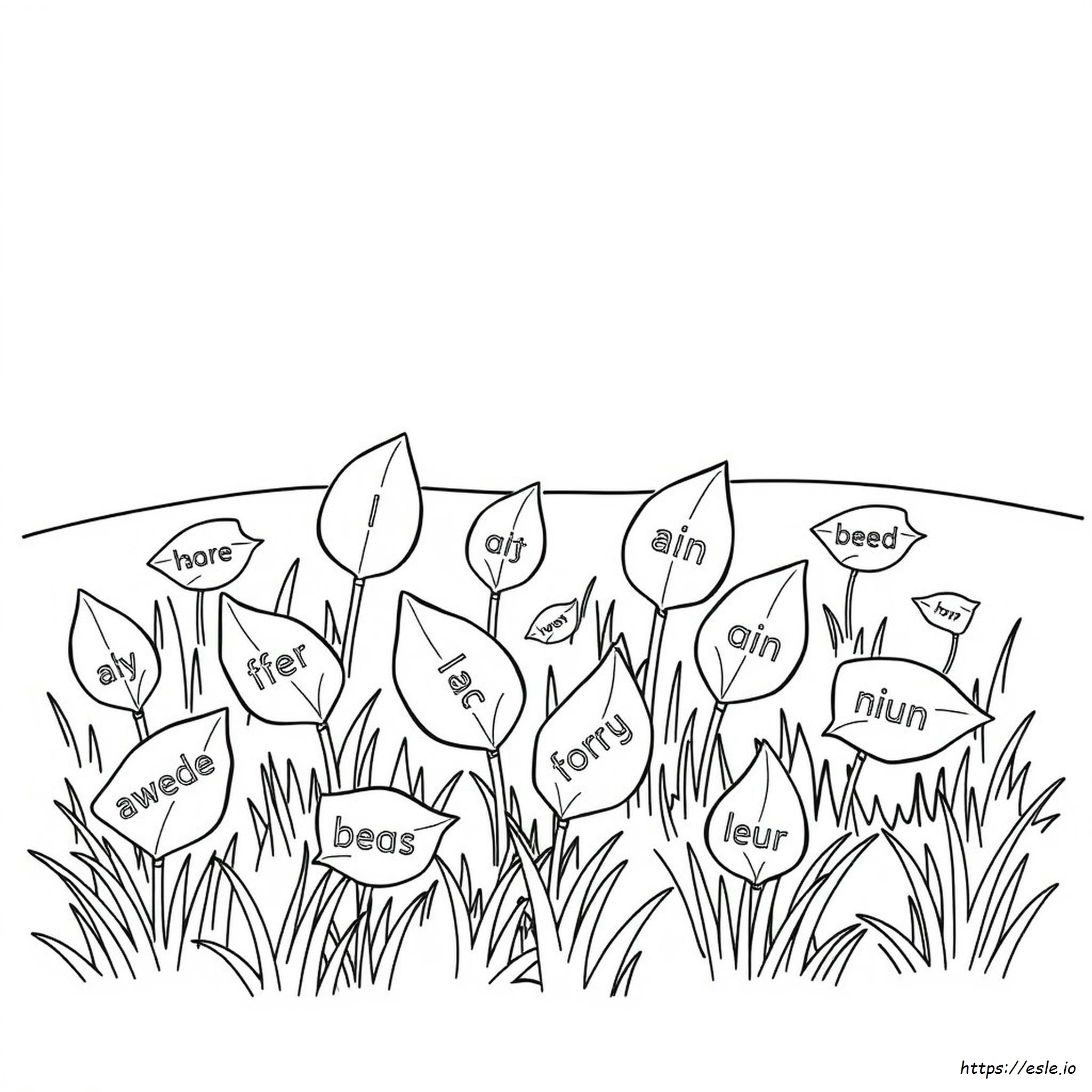 Sight Word Colouring Pages