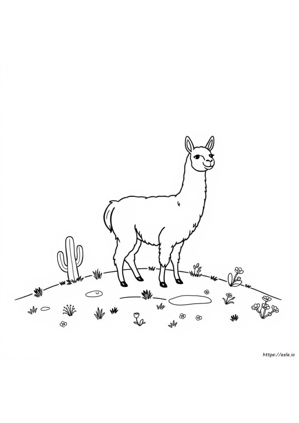 Lhamas Para Colorir