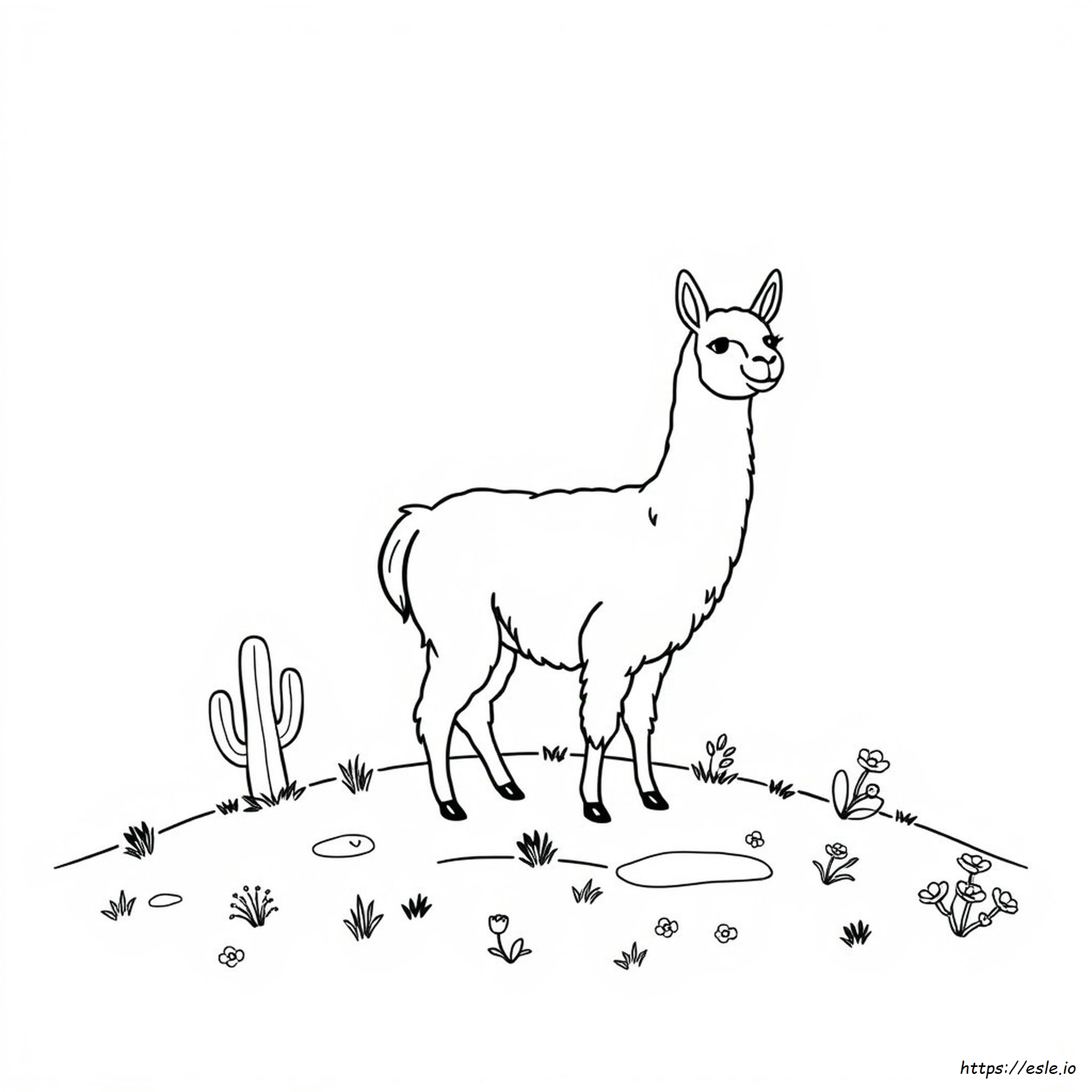 Coloring Pages Of Llamas - Free Printable
