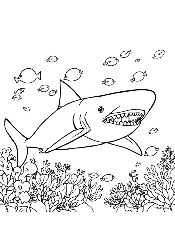 Megalodon Para Colorir
