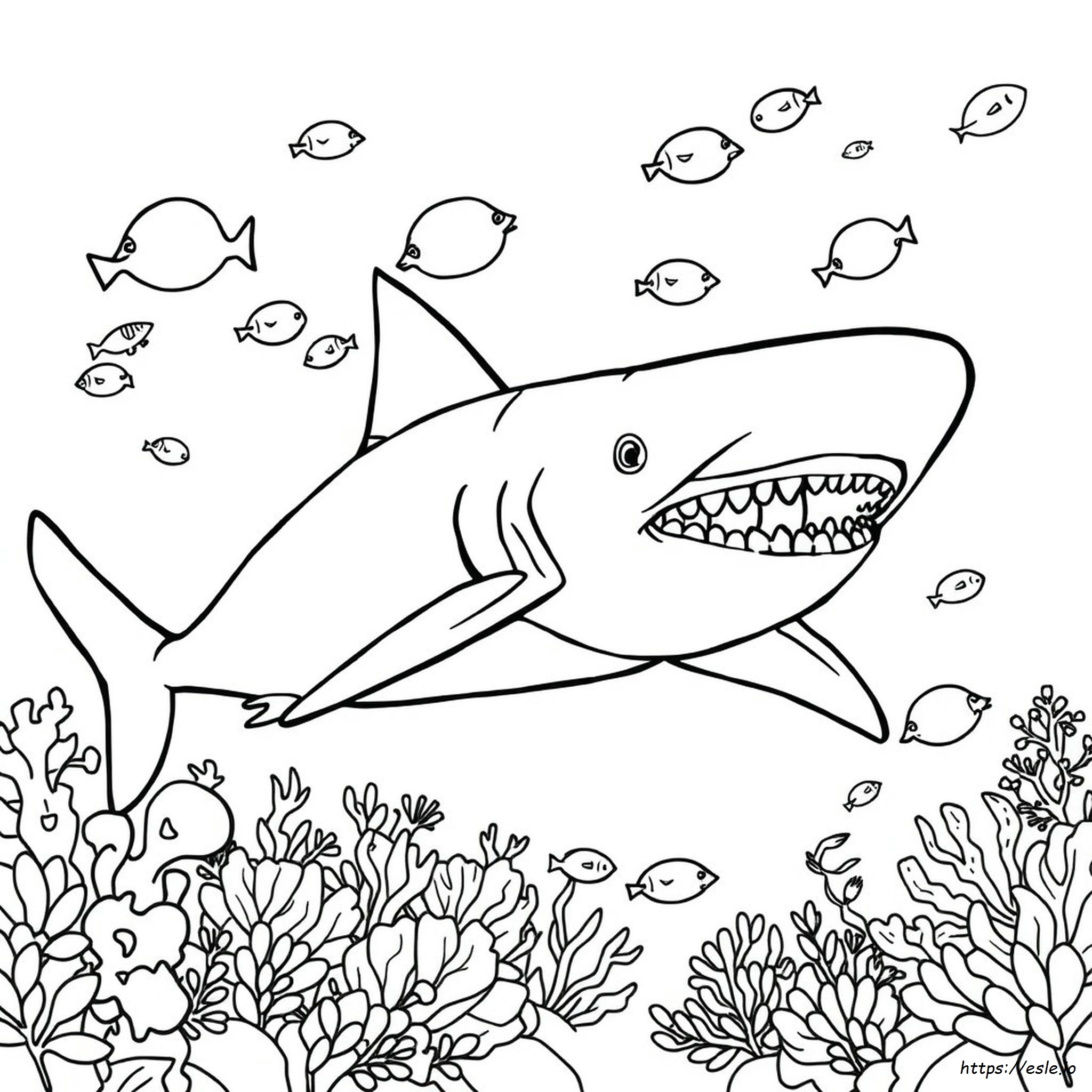 Megalodonte Da Colorare