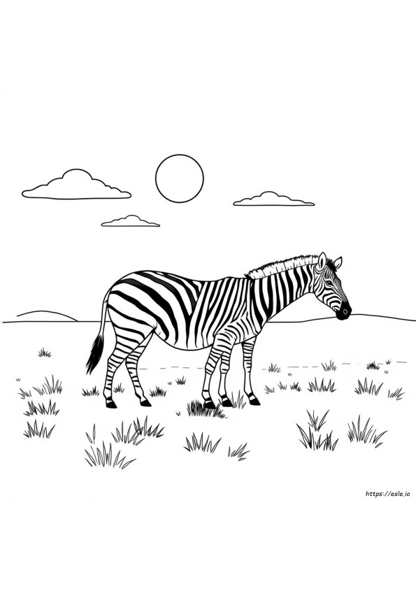 Free Zebra Coloring Pages To Print