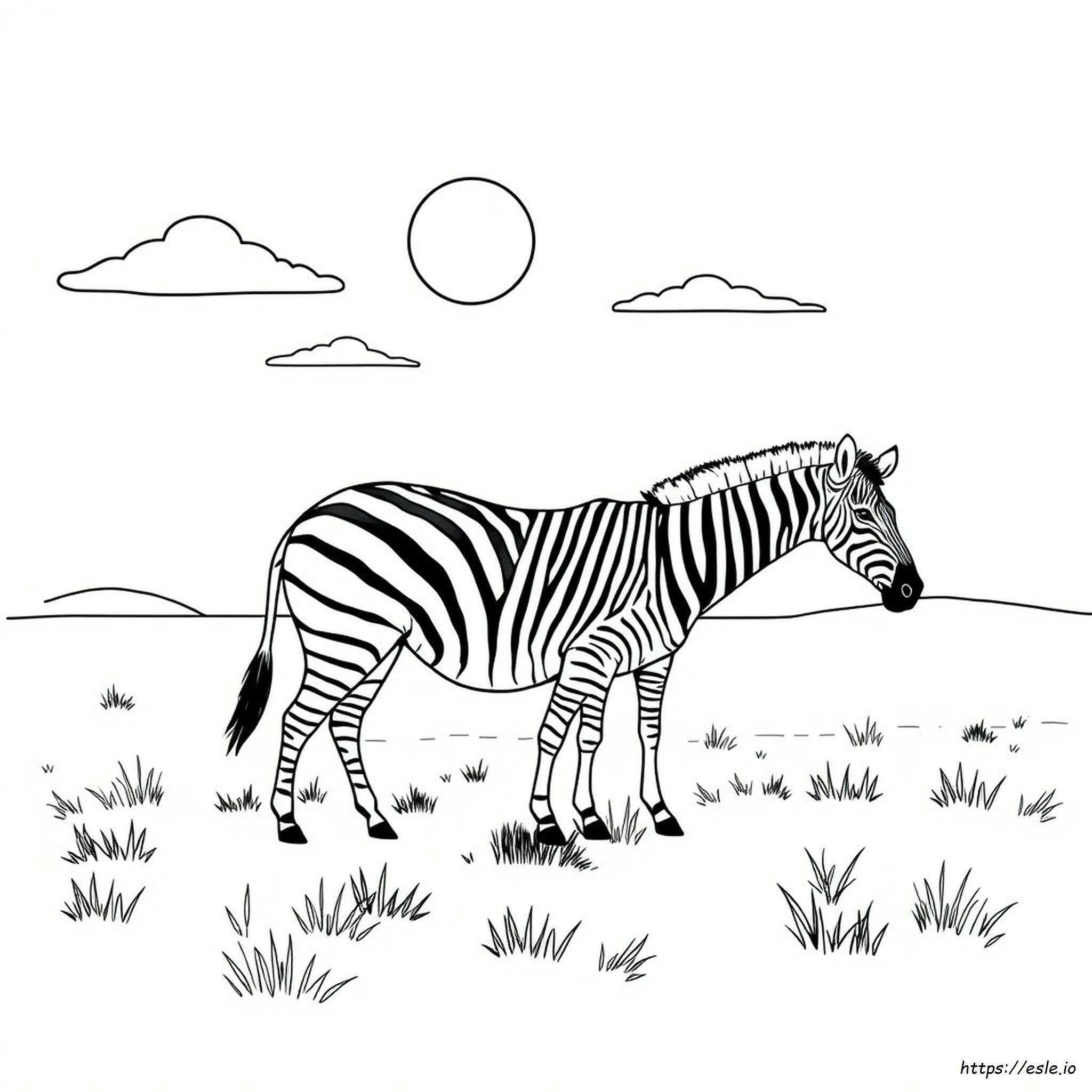 Free Printable Zebra Coloring Pages