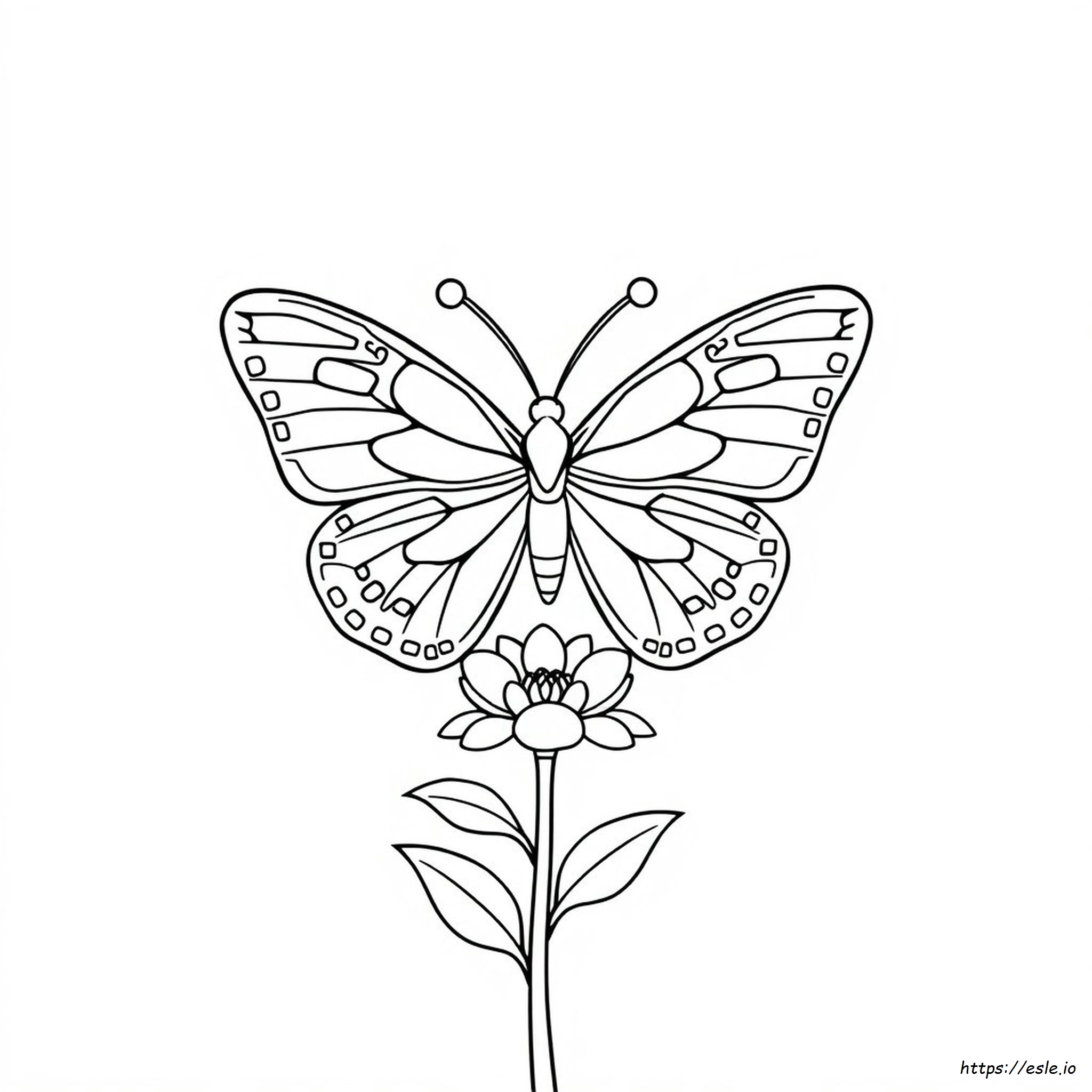 Disegni Simmetrici Da Colorare E Stampare