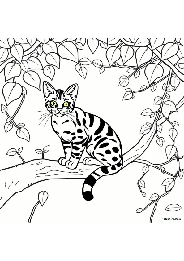 ベンガル猫 ぬりえ