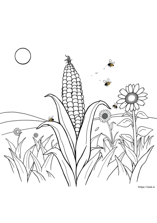 Coloriage Épi De Maïs