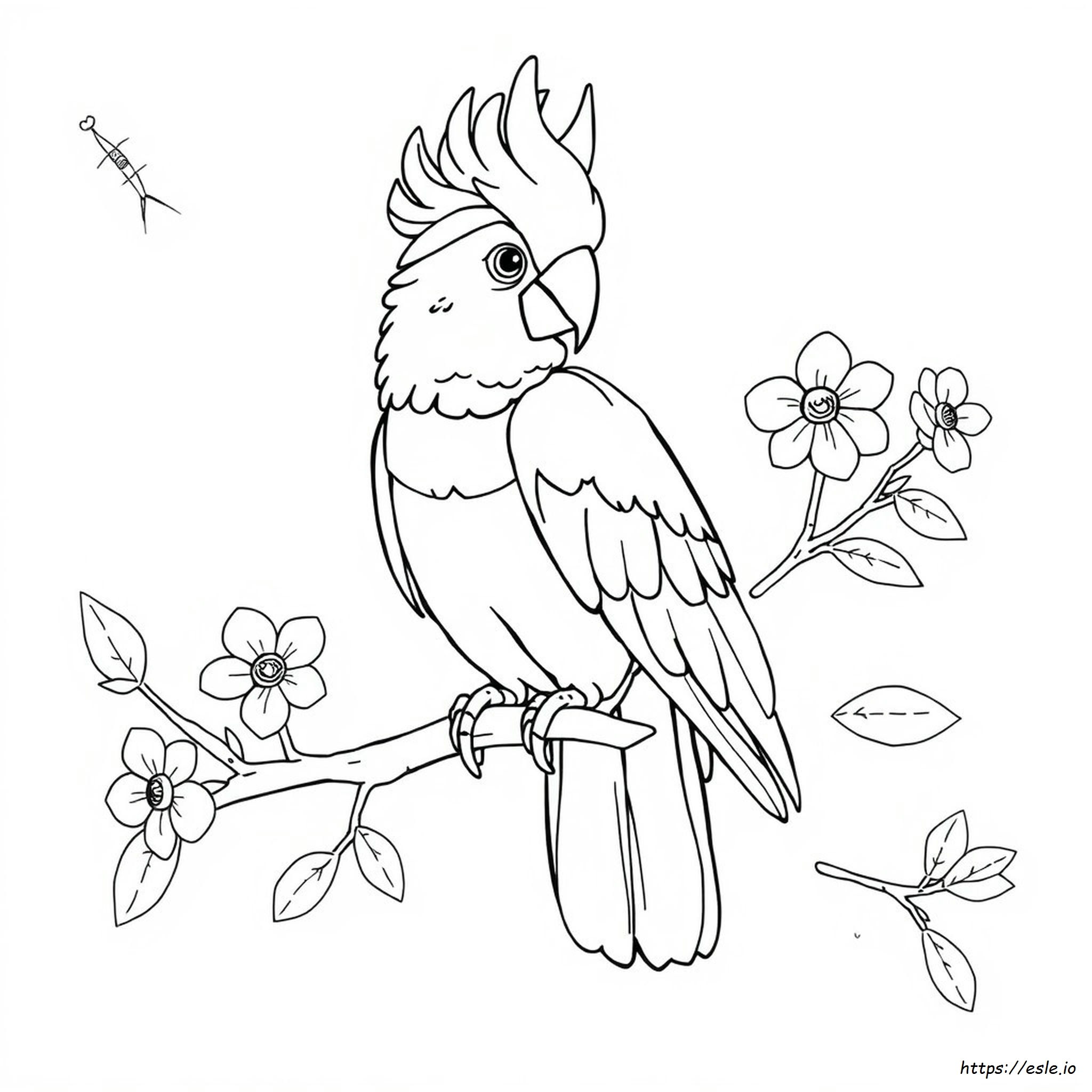 Cockatoo Coloring Page - Free Printable PDF