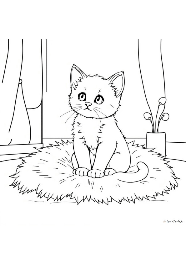 Yavru Kedi Boyama