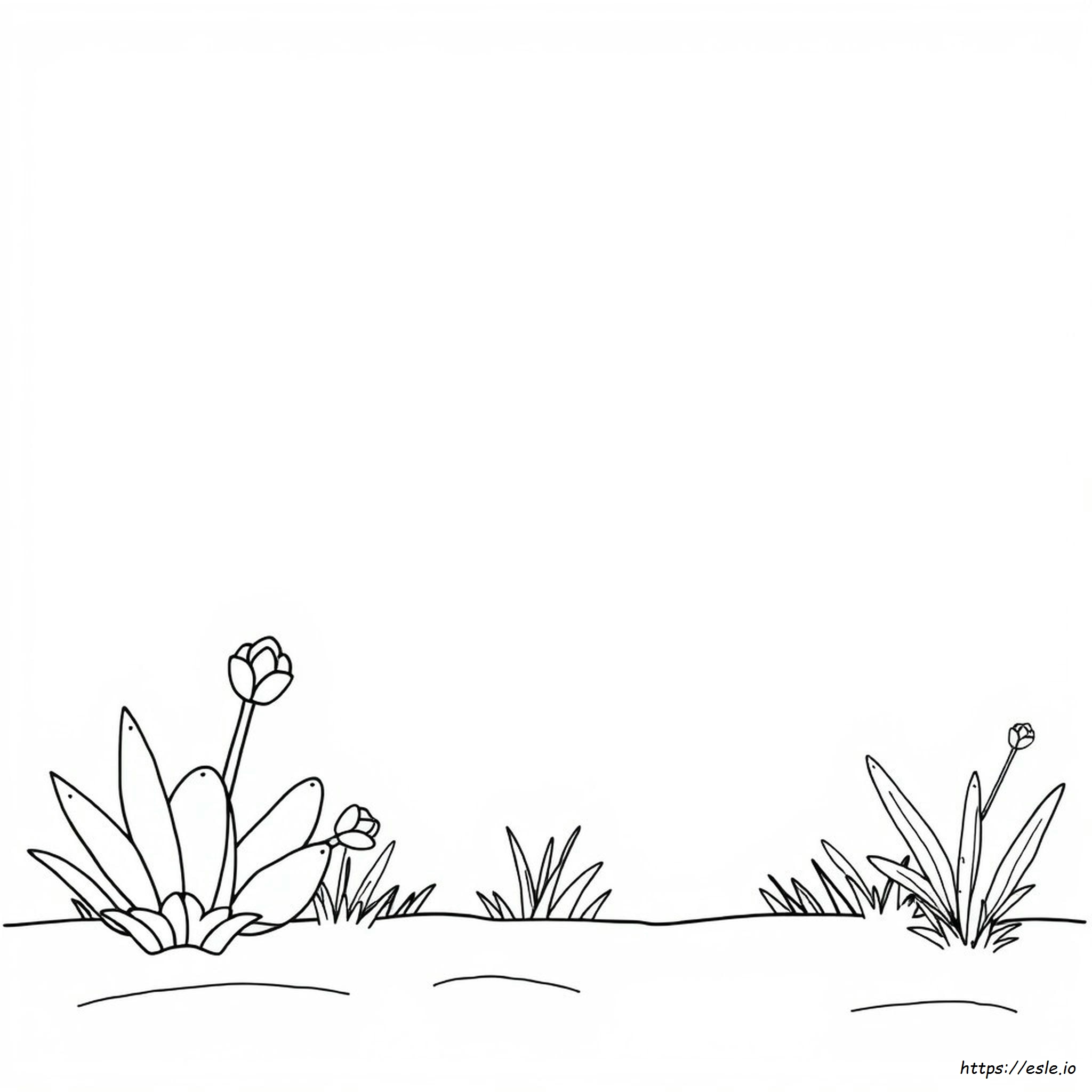 Blank Coloring Pages Pdf