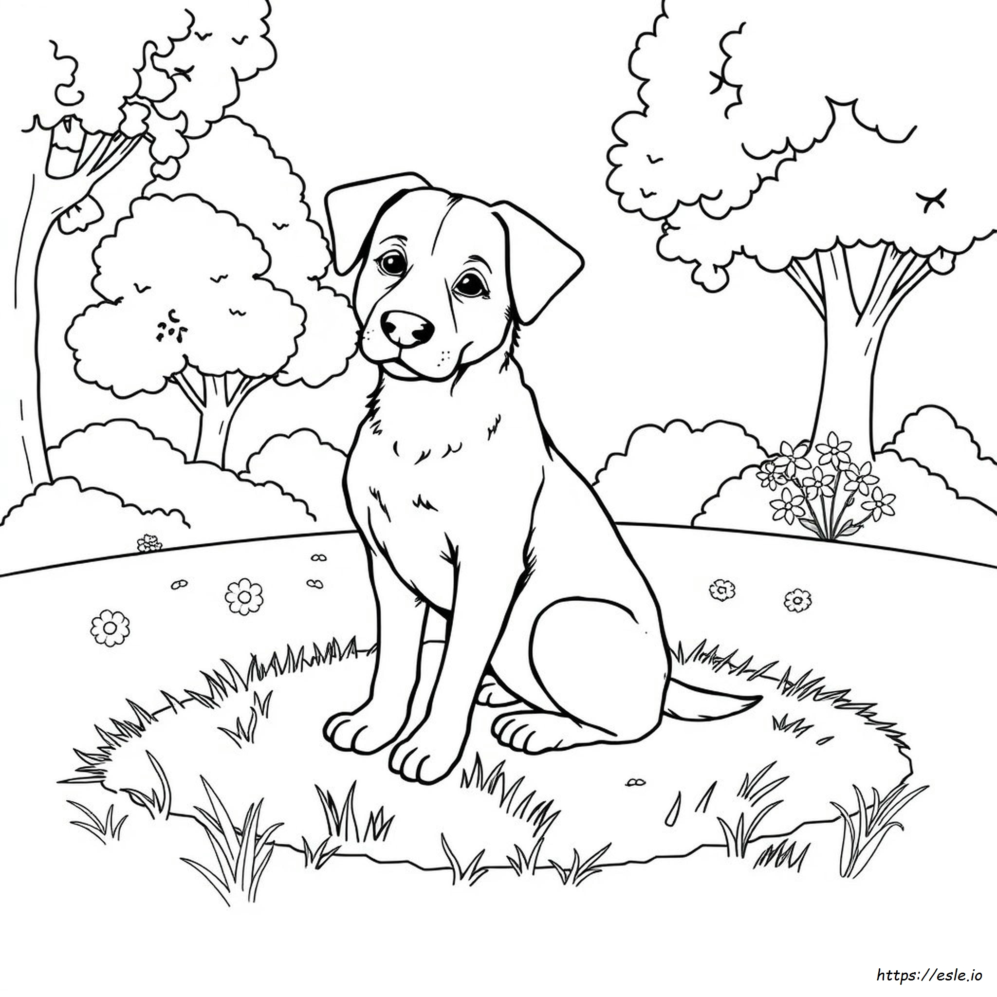Realistische Hunde Ausmalbilder Zum Ausdrucken