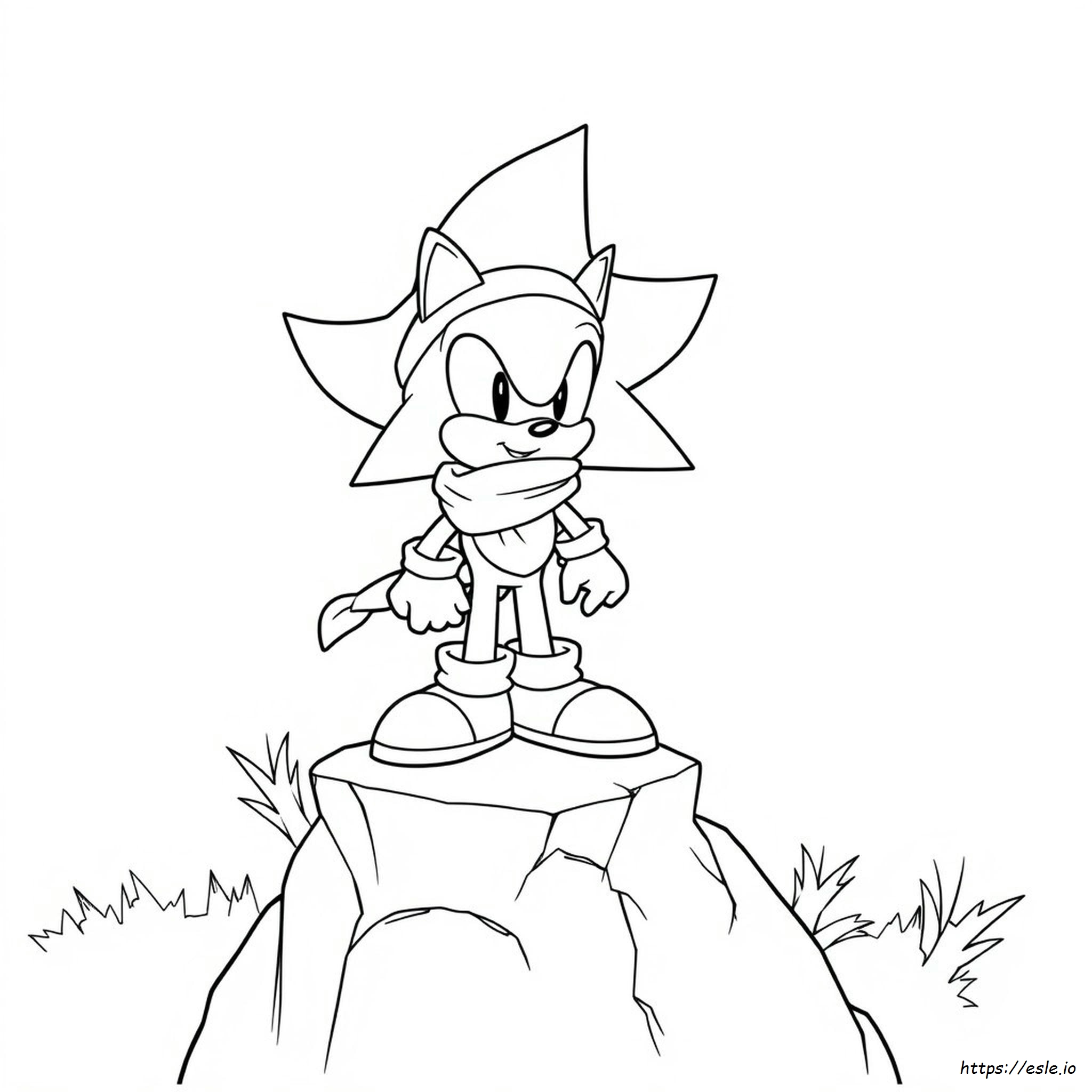 Sonic Boyama Kitabı - Ücretsiz Yazdırılabilir