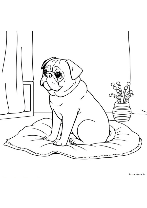 Pug Colouring Pictures