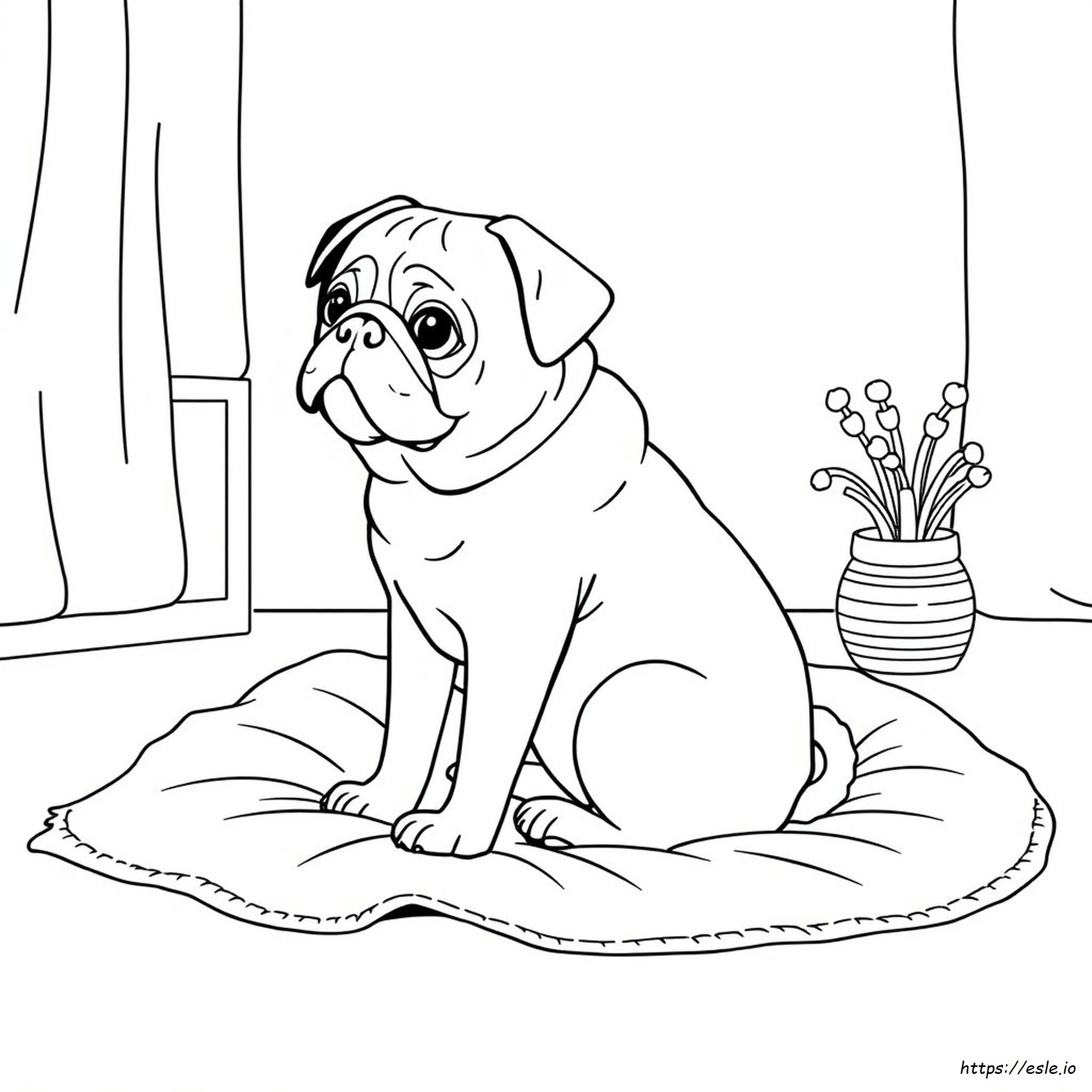 Pug Colouring Pictures