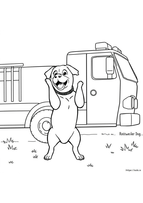 Rottweiler Hund Ausmalbilder