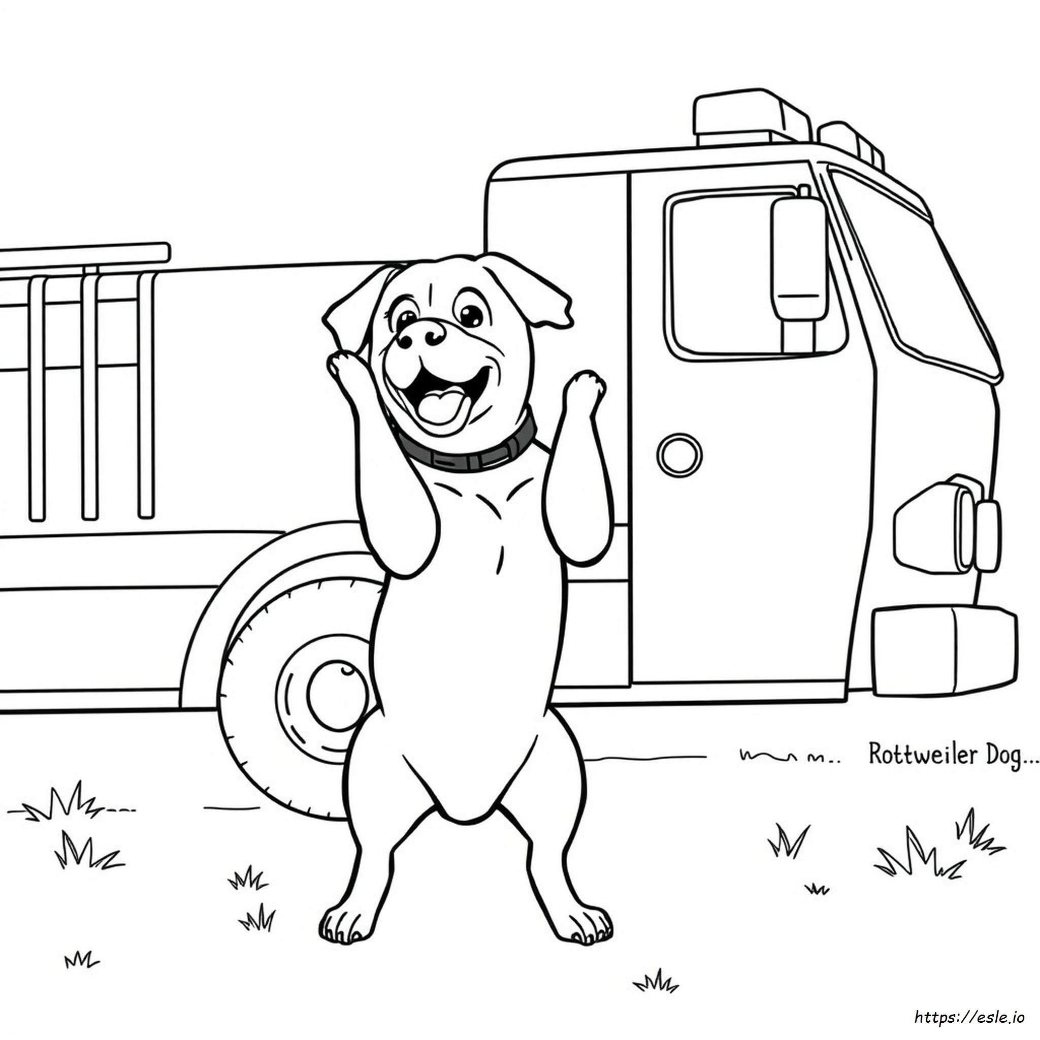 Coloriages Chien Rottweiler