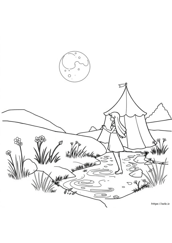 Fair Coloring Pictures