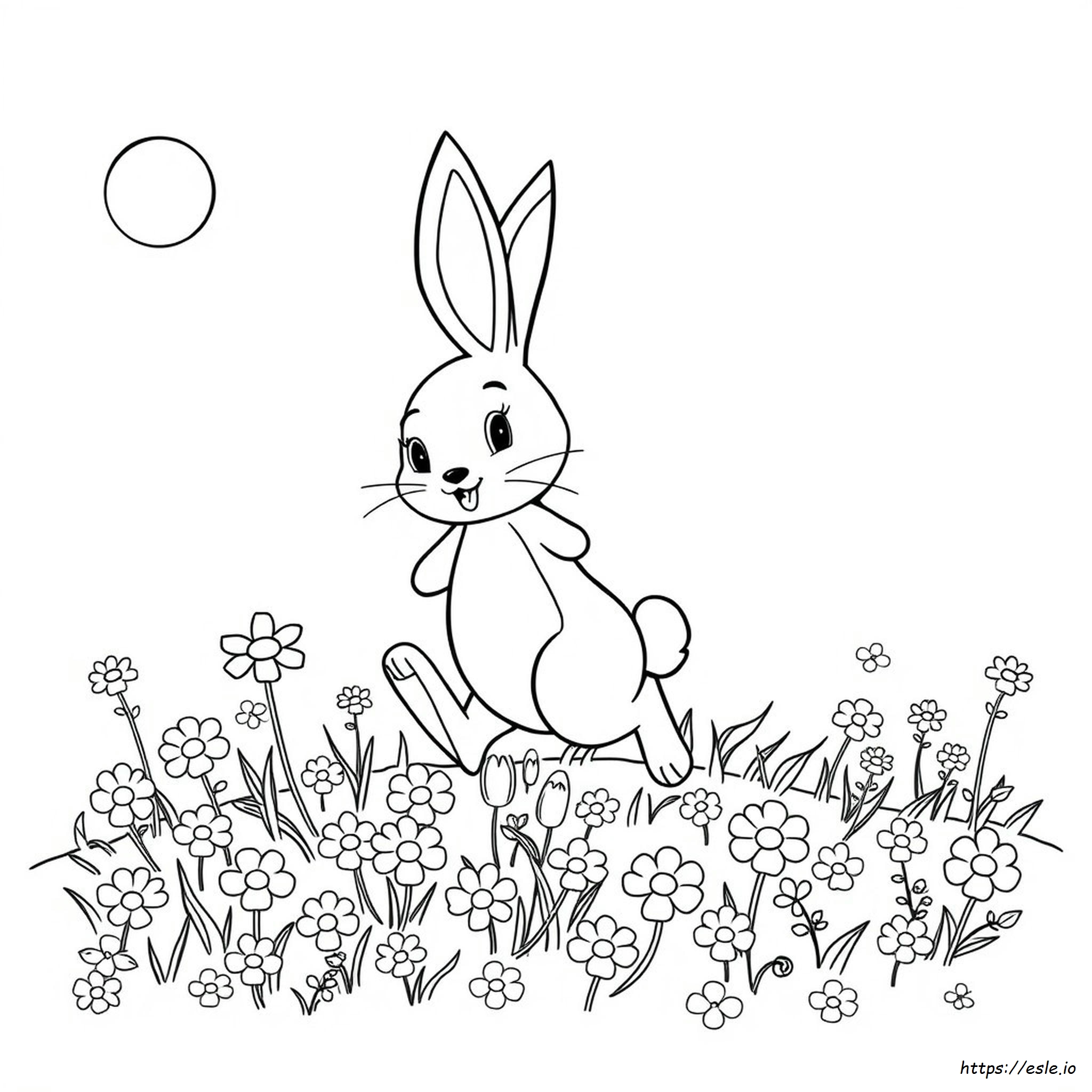 Bunny Coloring Pages For Kindergarten