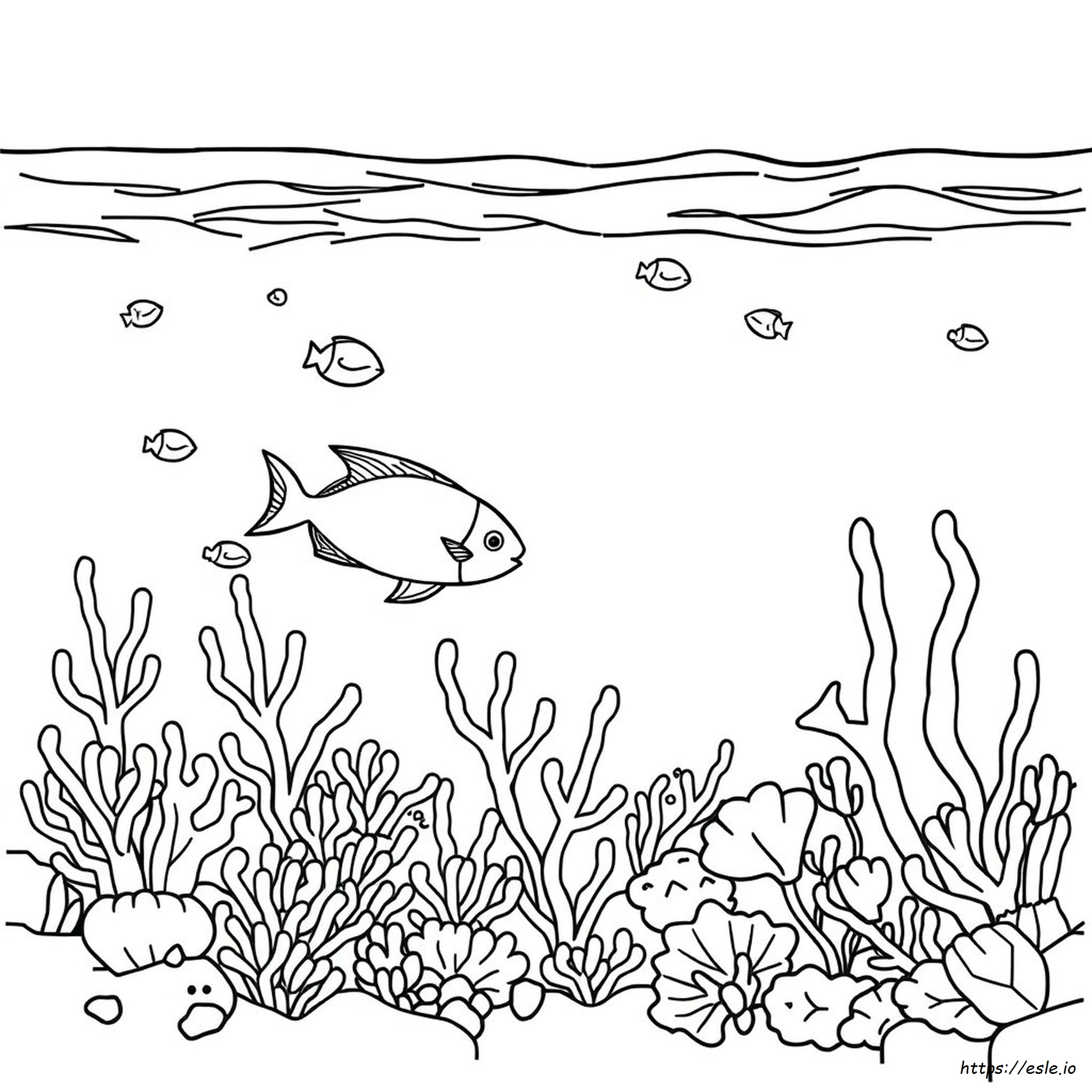 Coral Reef Coloring Page Pdf