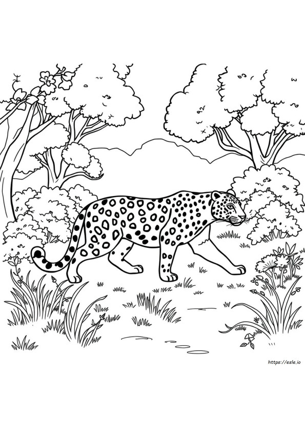 Wild Animals Coloring Sheets