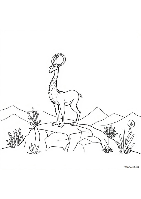 Urial Coloring Page